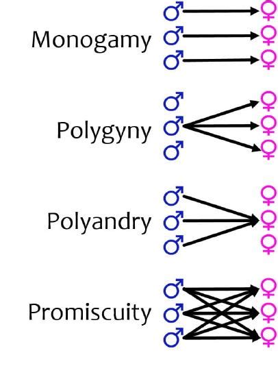 6.5: Mating Systems